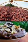 Solar drying cacao, Mousse with fresh cashews
