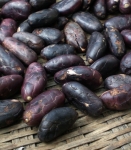 La Joya del Sol's sun dried naturally fermented raw cacao is easy to peel